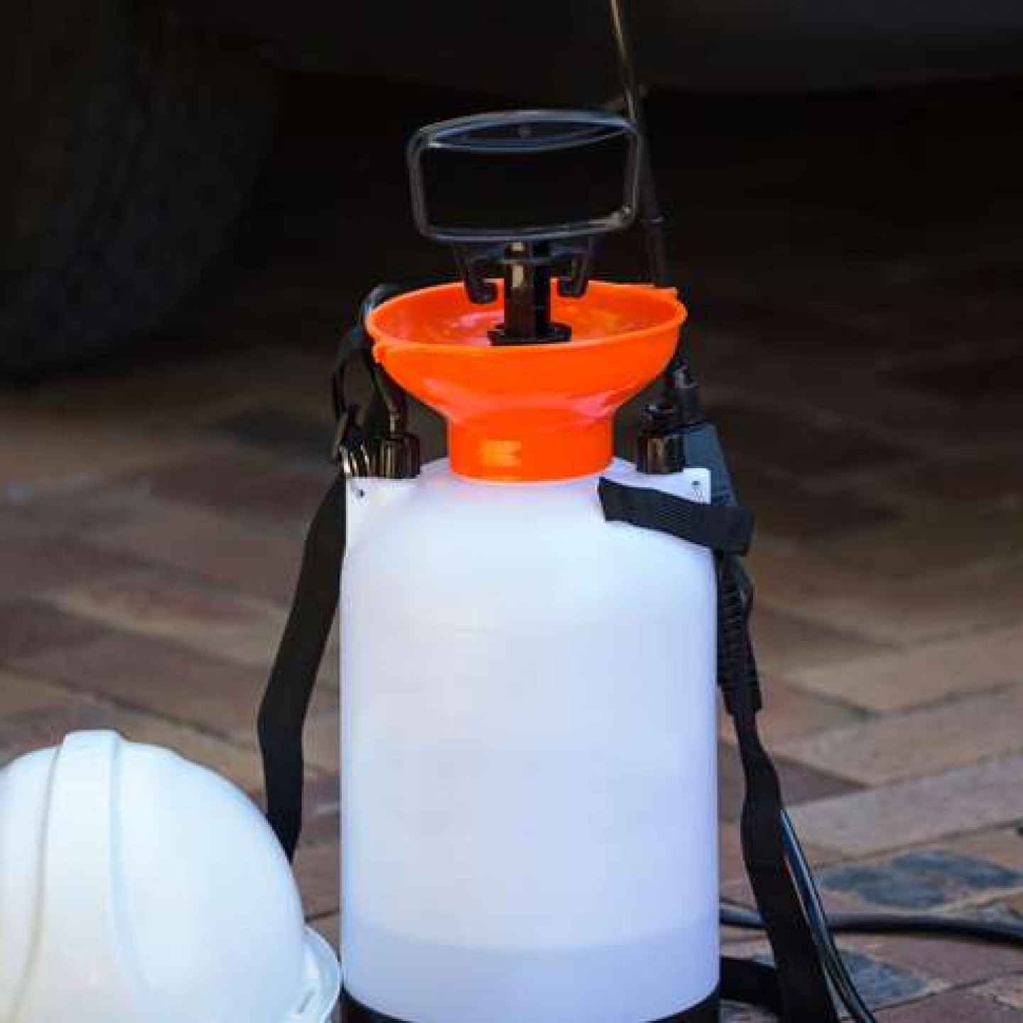 Pest Control Services, Pest Control Company Morristown & Greeneville